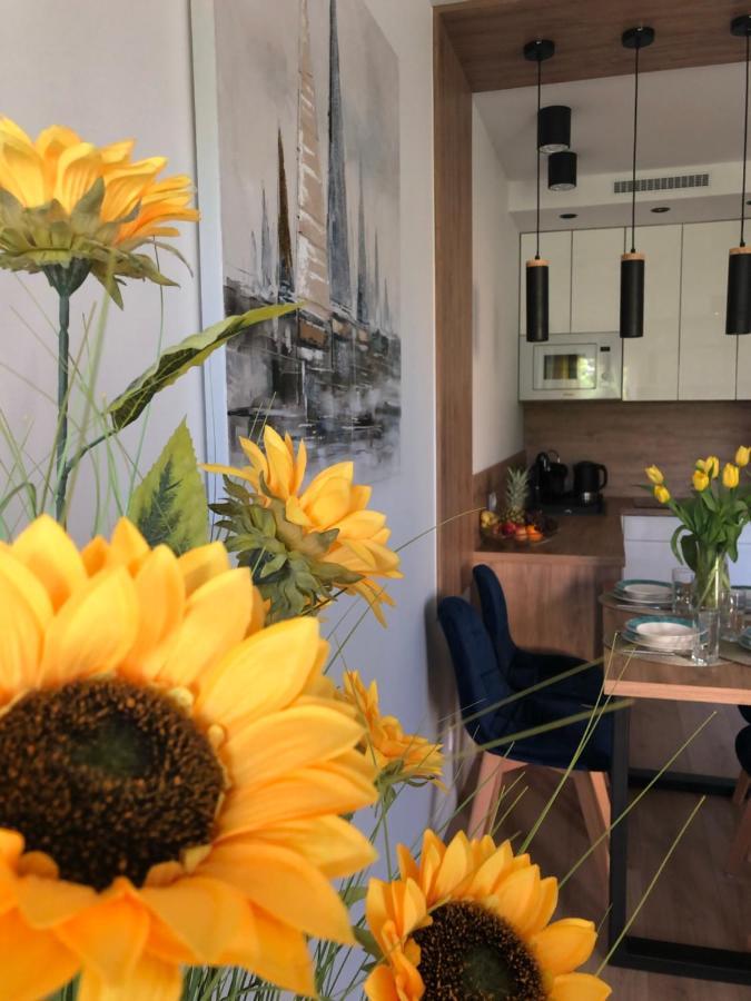 Stary Toruń Apartament Sloneczny By Rentoom 아파트 외부 사진