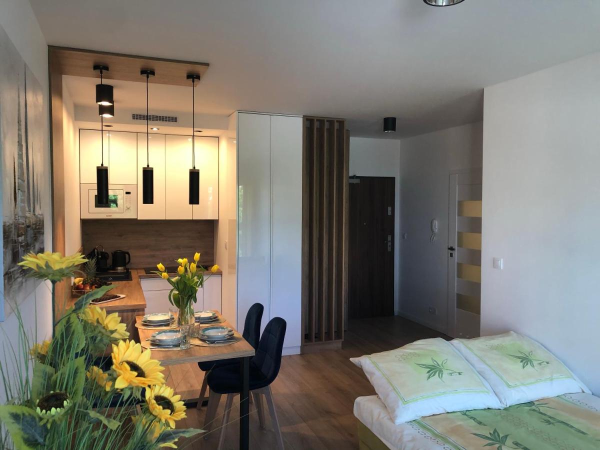 Stary Toruń Apartament Sloneczny By Rentoom 아파트 외부 사진